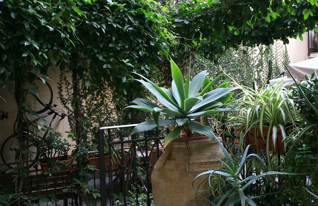 Casa Barbero Charme & Rooms-1